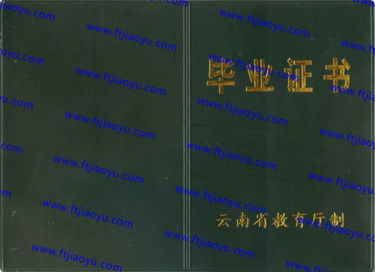 云南省中专毕业证样本