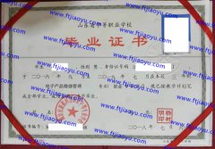 潍坊市新航科技职业中等专业学校中专毕业证样本