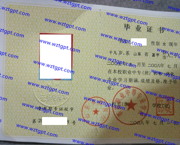 莘县职业中等专业学校中专毕业证样本