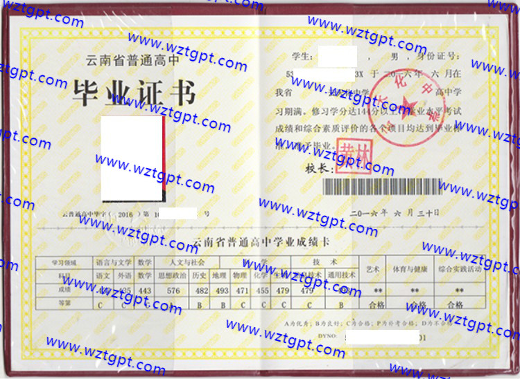 云天化中学高中毕业证样本