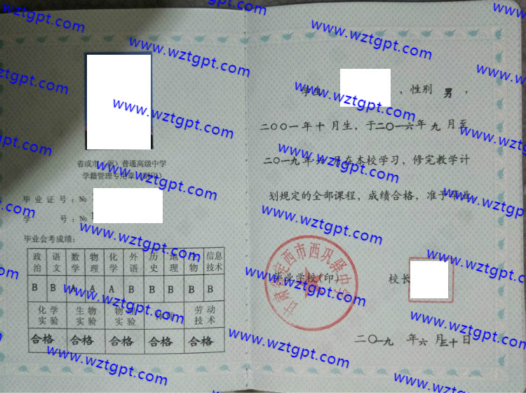 甘肃省定西市西巩驿中学高中毕业证样本