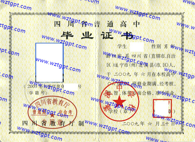 蓬溪中学校高中毕业证样本