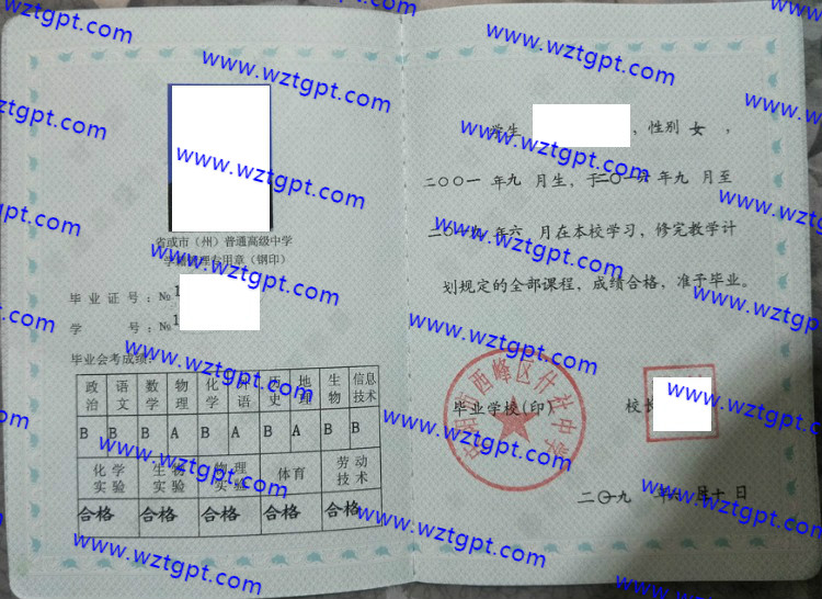庆阳市西峰区什社中学高中毕业证样本