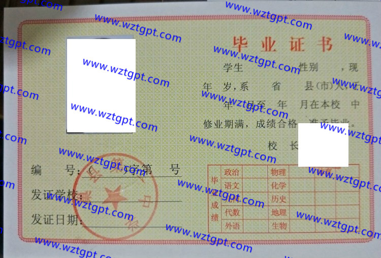 巢县第一中学高中毕业证样本