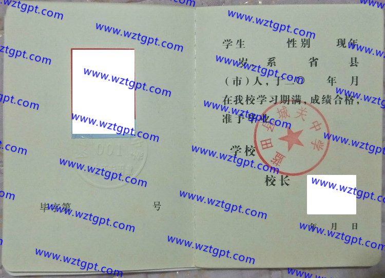 蓝田县城关中学高中毕业证样本