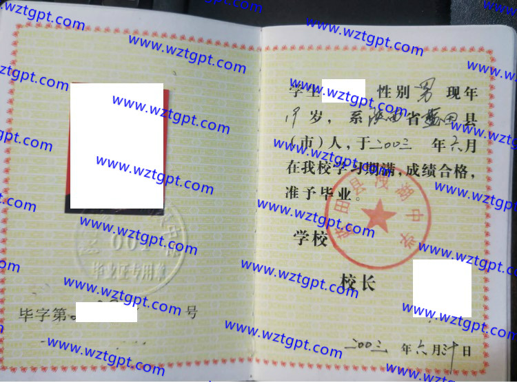 蓝田县洩湖中学高中毕业证样本