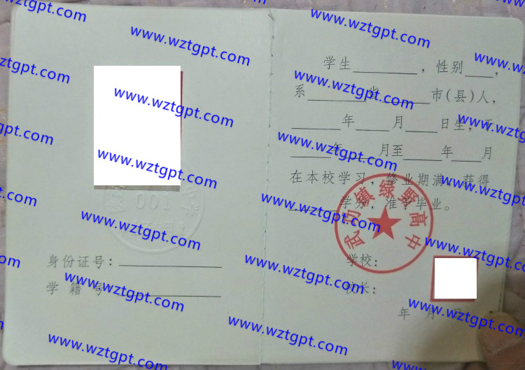 武功镇绿野高中高中毕业证样本