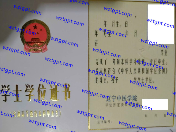 辽宁中医学院学士学位证书样本