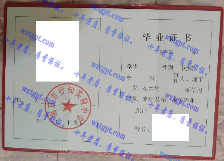 南京市行知实验中学毕业证样本