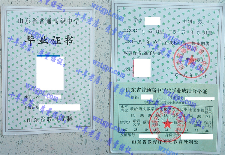 山东省海阳市第一中学毕业证样本
