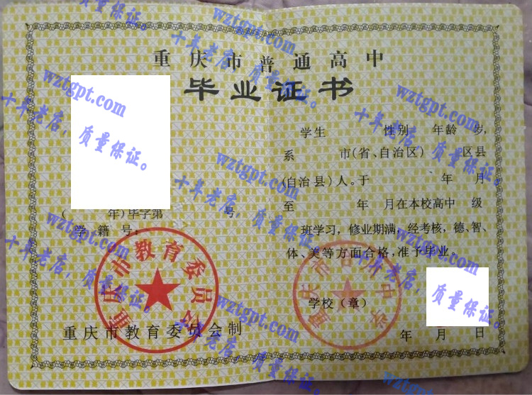 重庆市合川中学毕业证样本