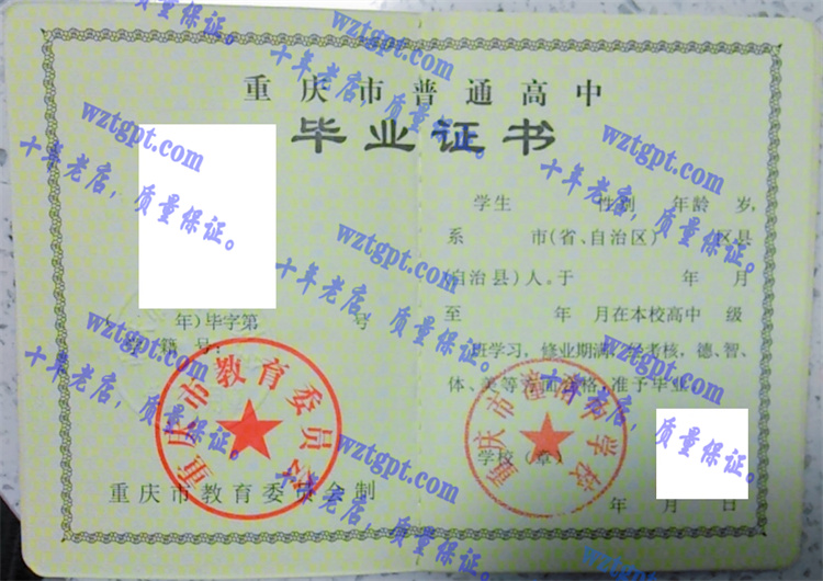 重庆市潼南中学校毕业证样本