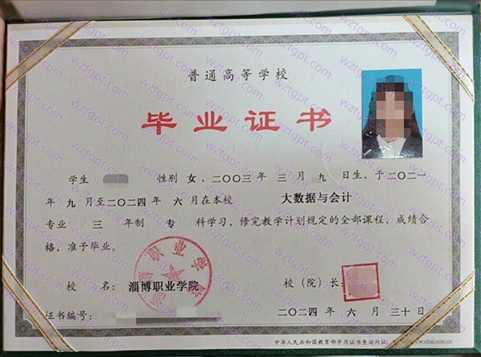 淄博职业学院2024年专科毕业证书样本图片(大数据与会计)