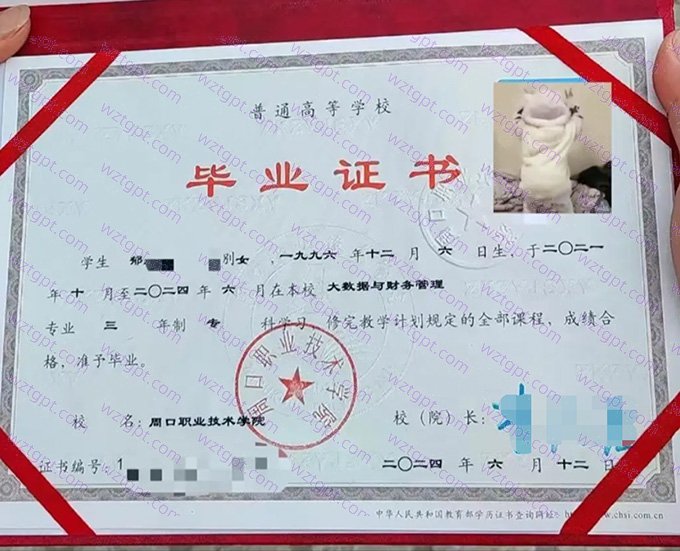 周口职业技术学院2024年专科毕业证书样本图片(大数据与财务管理)