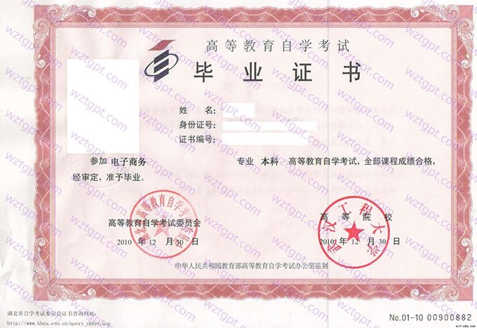 武汉工程大学2010年自学考试本科毕业证书样本图片(电子商务)